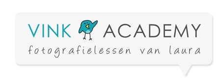 Vink Academy logo