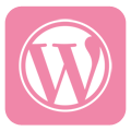 Icoon workshop WordPress