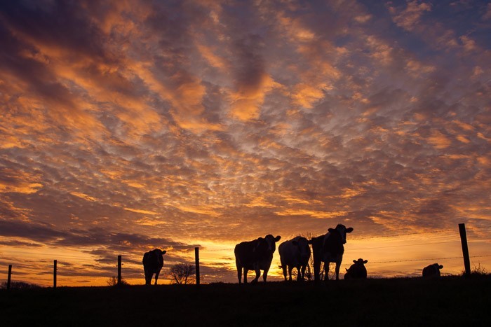 Fotografie challenge Augustus: Zonsondergang