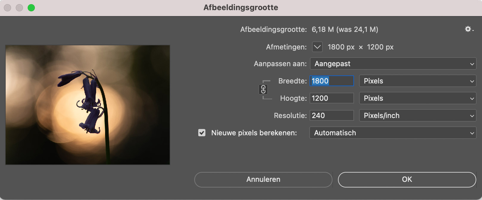 Foto verkleinen in Photoshop