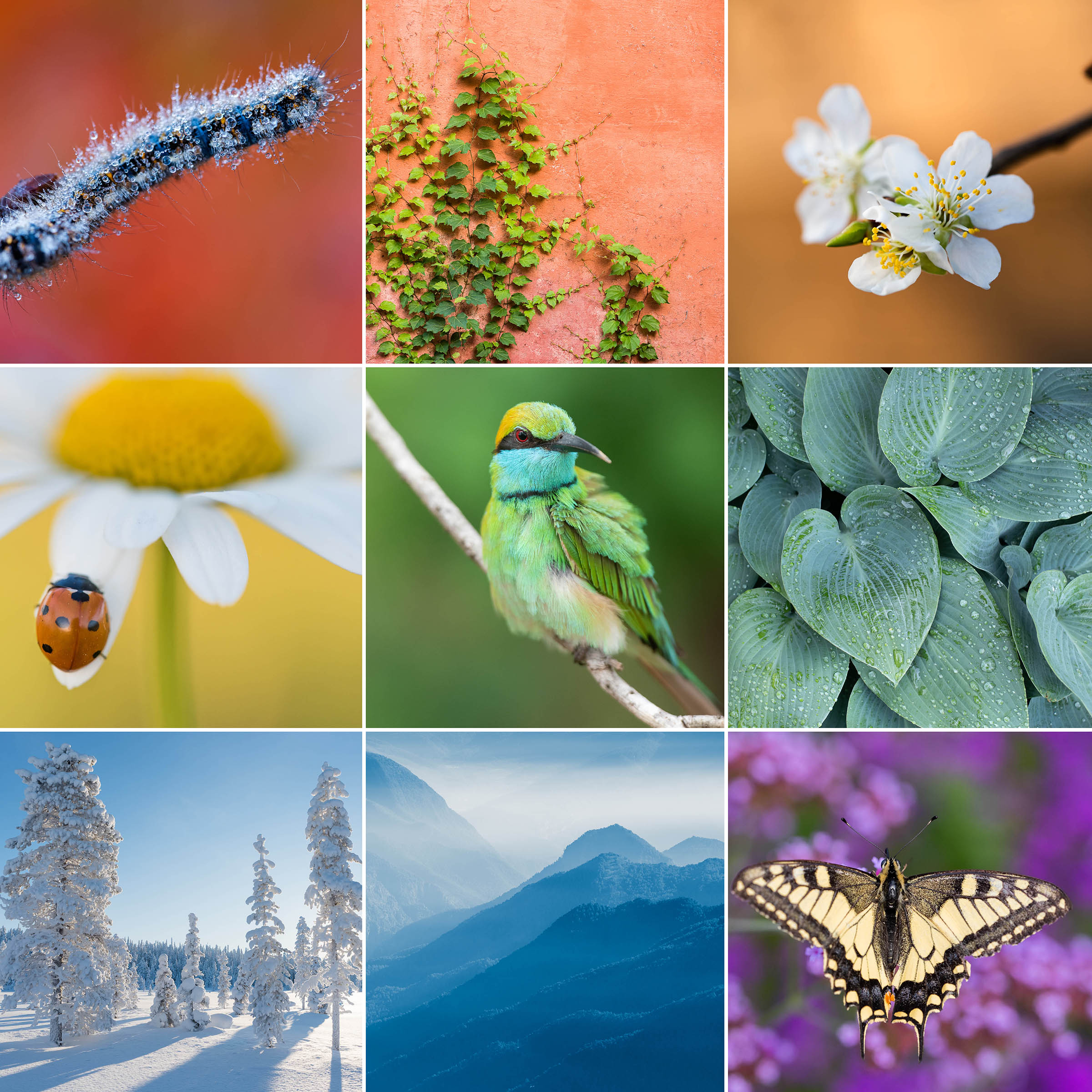 Creatief: maak een regenboogcollage