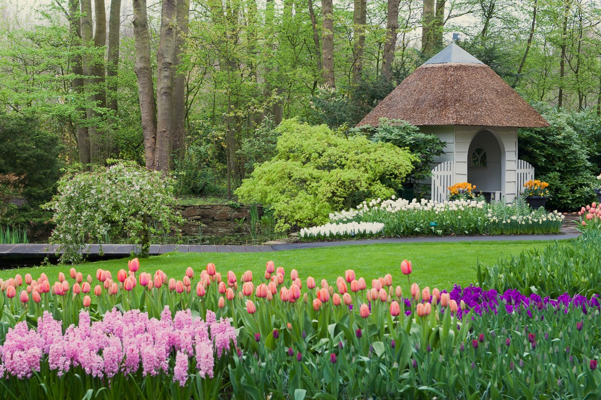 Keukenhof fotografie-inspiratie