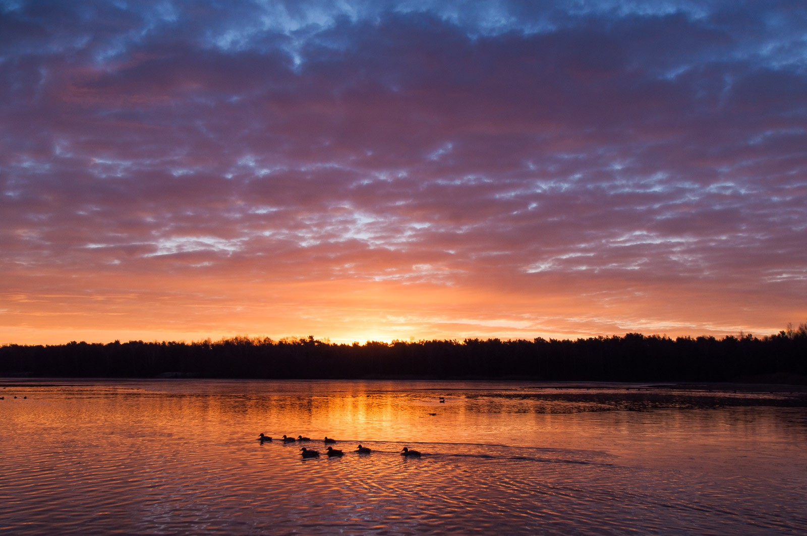 Fotografie Challenge Februari: Vóór negen uur ’s ochtends