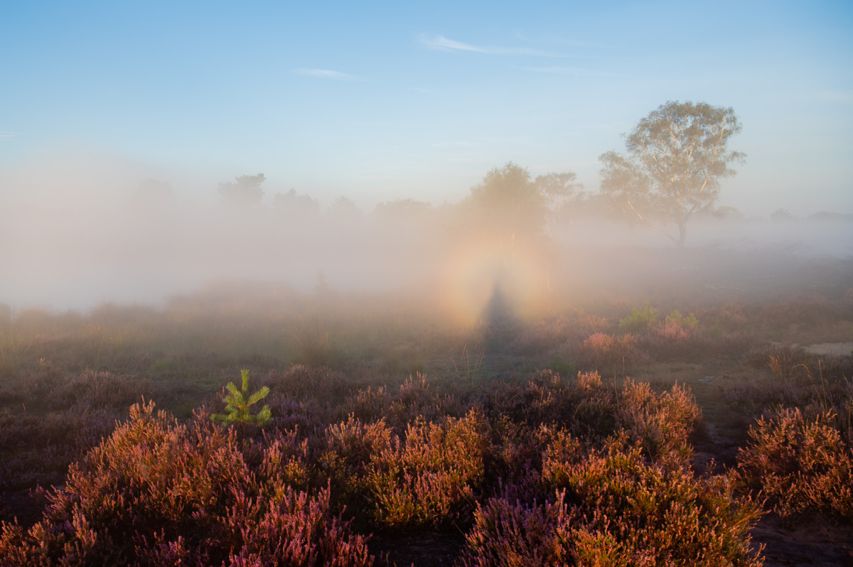 Regenboog fotograferen, zo doe je dat!