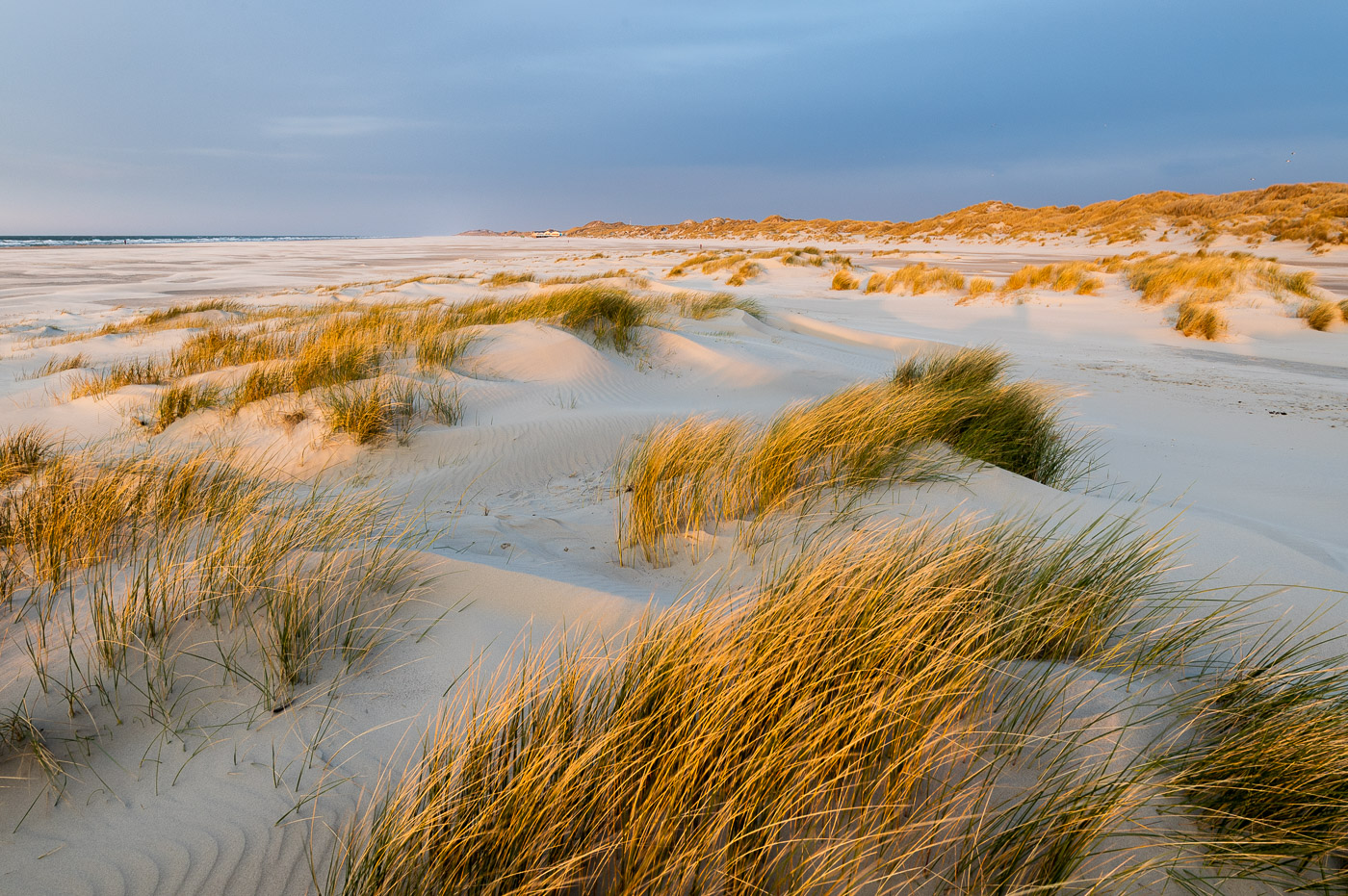 Het gouden uurtje: zonlicht bij landschapsfotografie