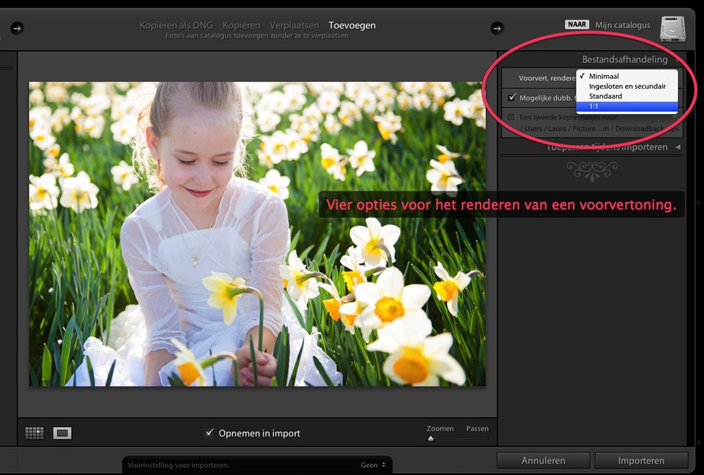 Verlies geen tijd met Lightroom voorvertoningen