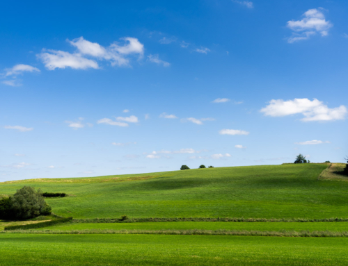 Fotografiechallenge december: beste foto van 2025