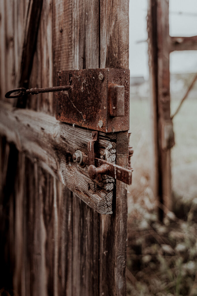 Tamara Taes (@picturesbytamara)