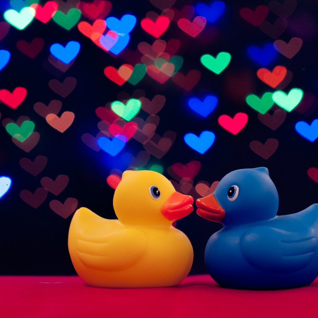 Resultaat met klonen in Lightroom