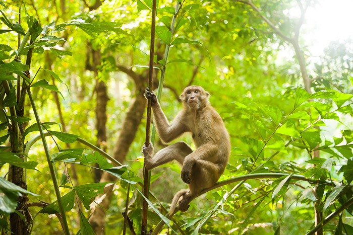 Fotografie challenge: Groen