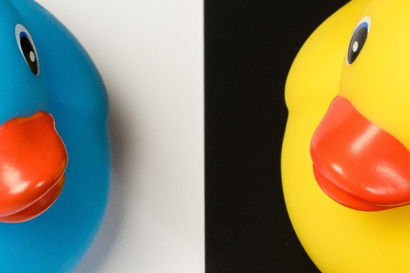 ISO 1600 - Nikon D750. Zie je dat er een stuk minder ruis zichtbaar is nu?