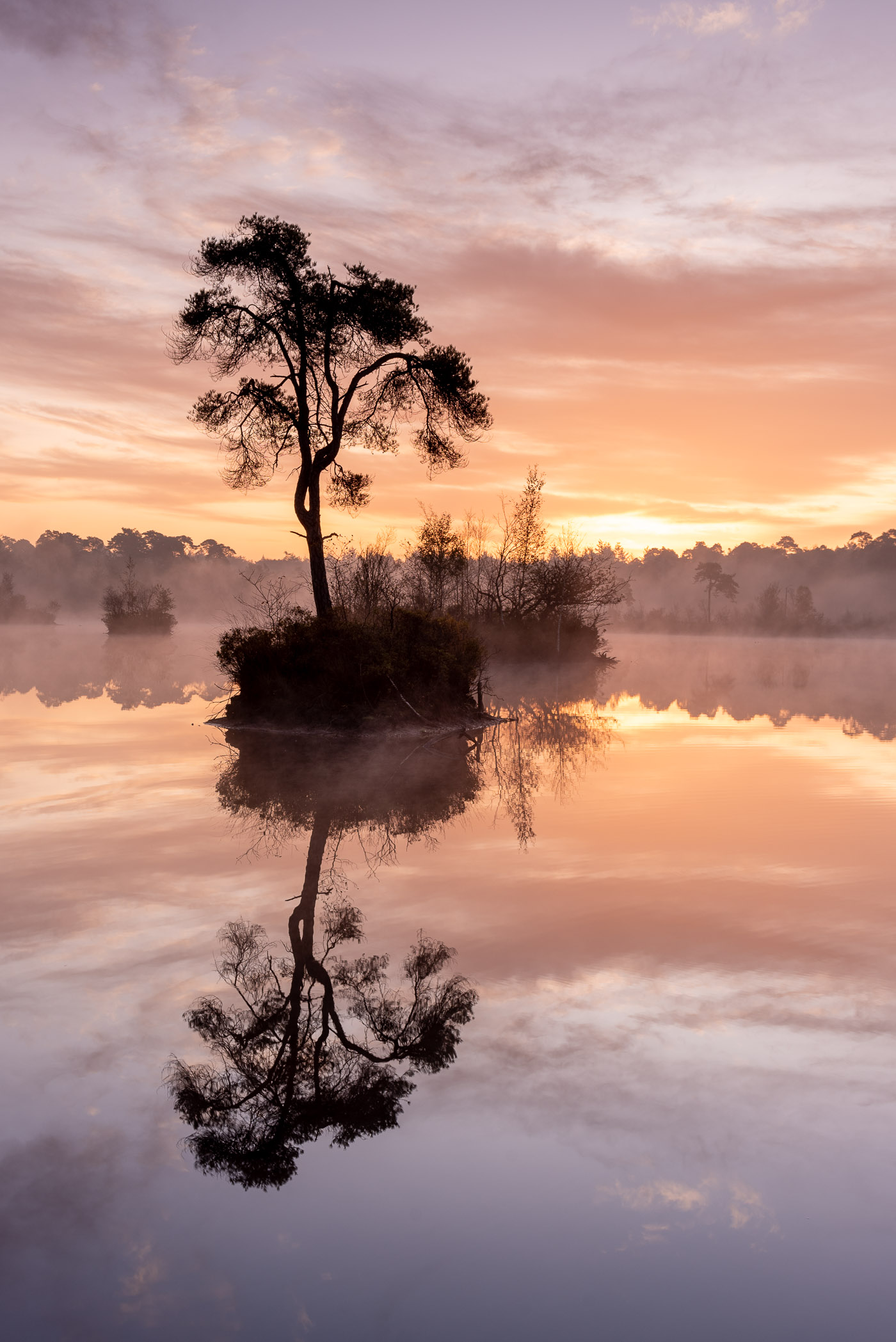 Silhouet van een boompje op een eilandje in het water. 