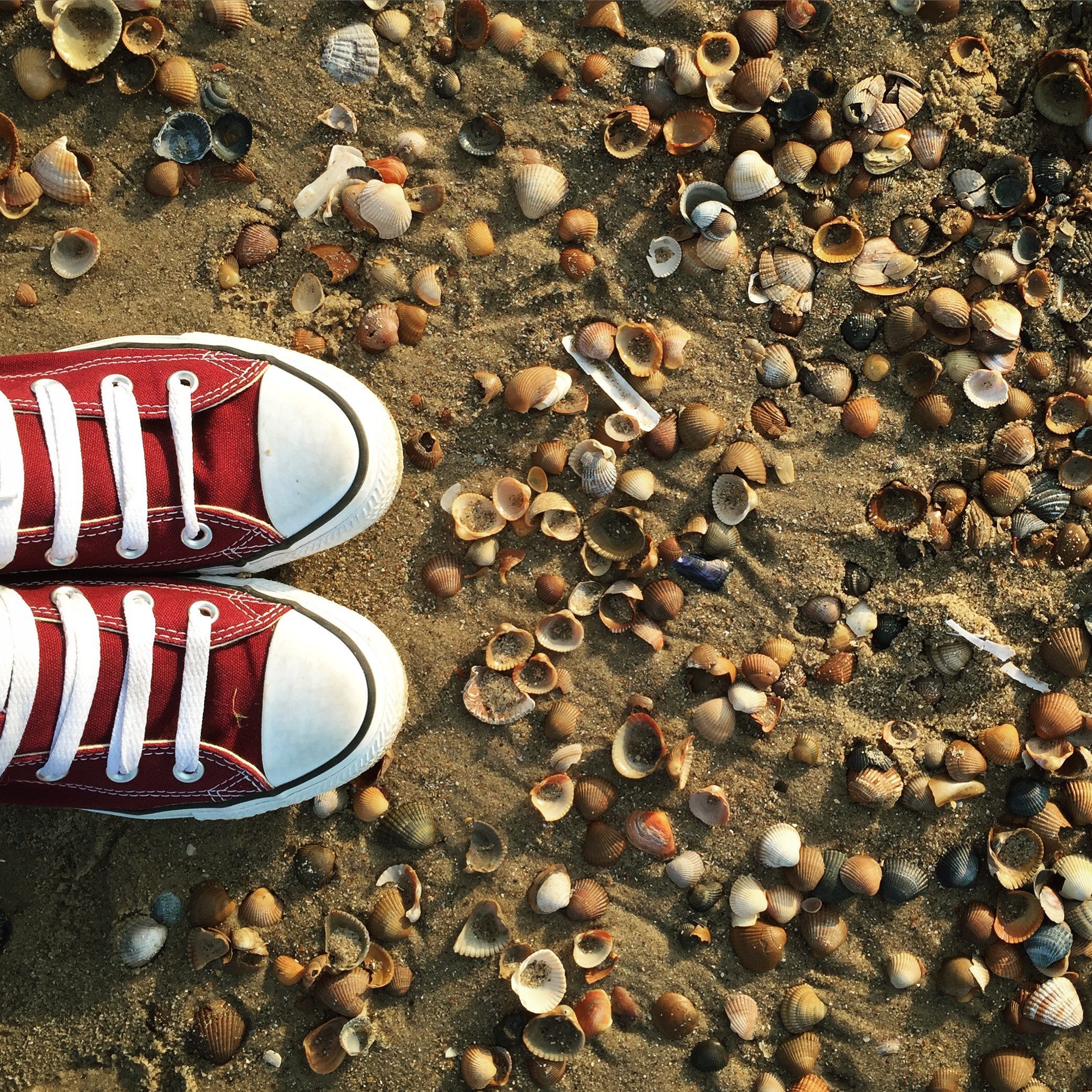 2015-07-31 20.00.06-1.jpg