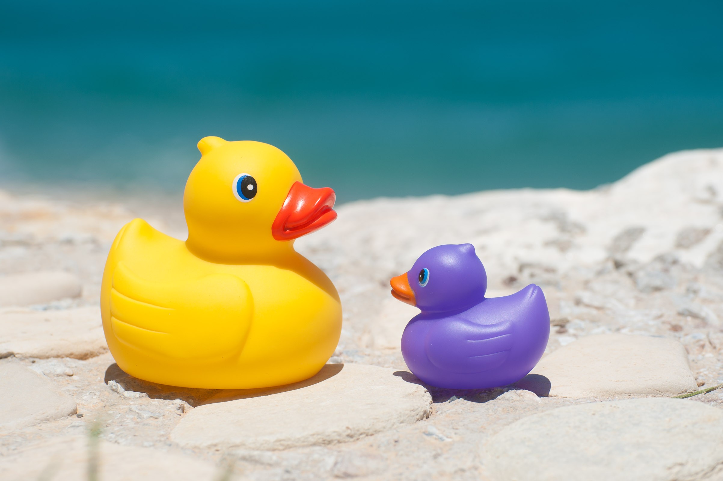 Deze foto heeft wel auteursrecht