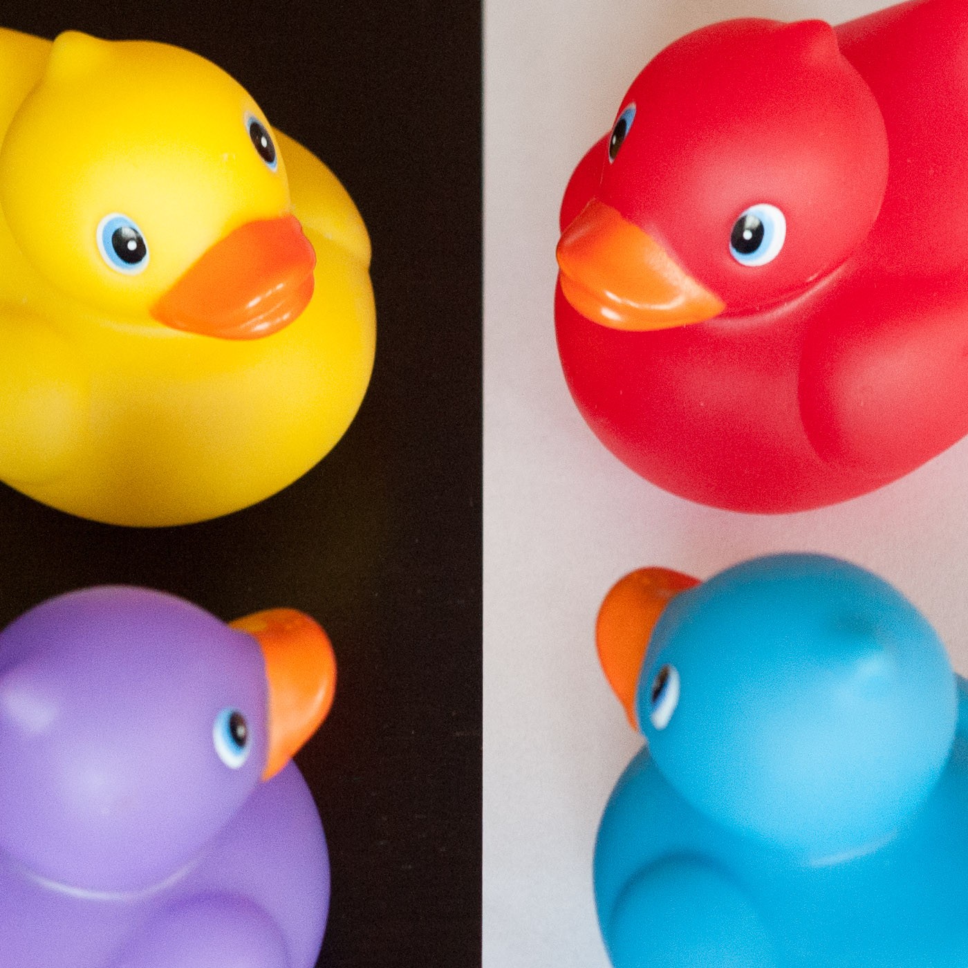 ISO 3200 - fullframecamera