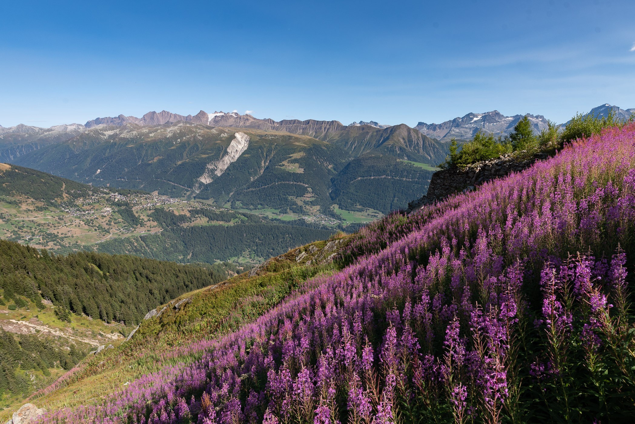 Het verschil met een zonder voorgrond bij een landschapsfoto in de bergen