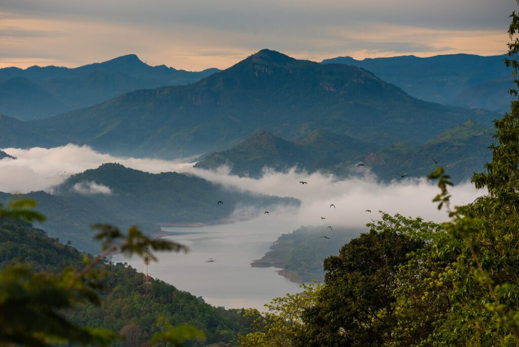 Vanaf deze bergtop in Knuckles Mountain Range in Sri Lanka hadden we een mooi uitzicht op het stuwmeer.