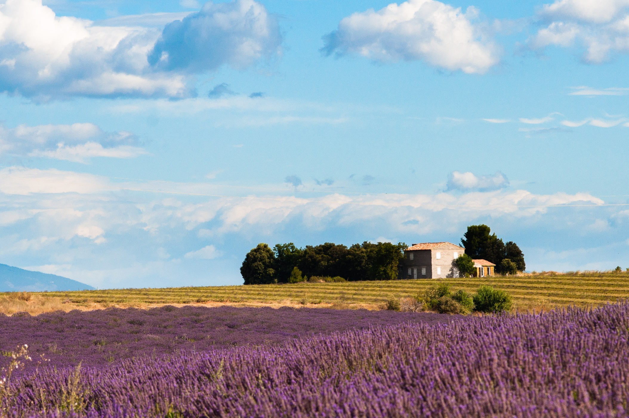 Ansichtkaarten vertellen je vaak over de mooiste plaatsen en attracties van je vakantiebestemming.
