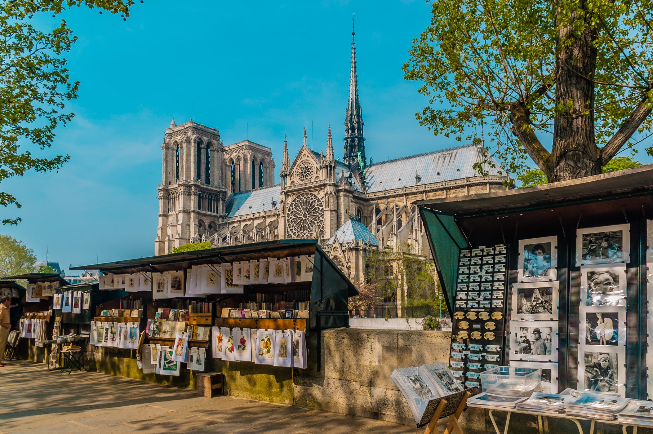 maar bewerk de foto niet zo dat-ie er onnatuurlijk uitziet. Veel ansichtkaarten hebben (helaas) wel deze overbewerking. Smaken verschillen zullen we maar zeggen ;) (Notre Dame, Parijs)