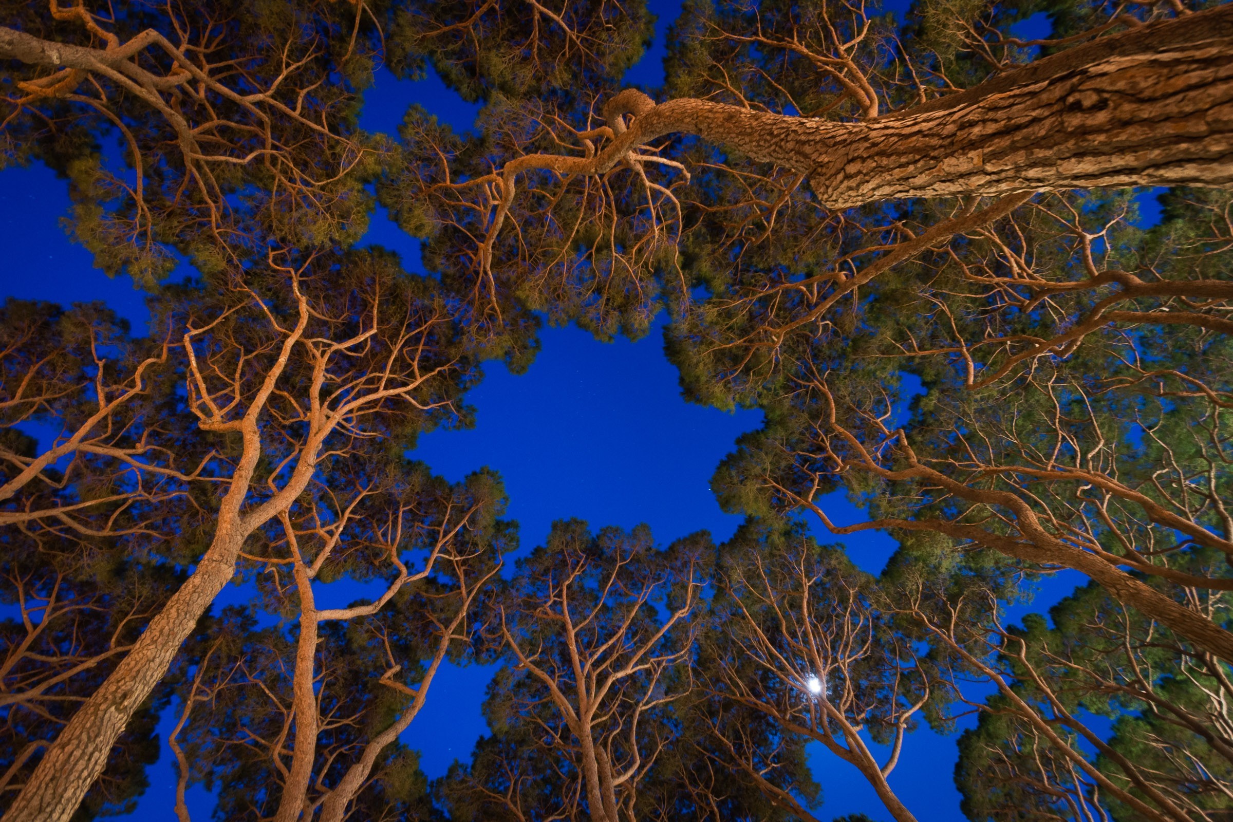 Door de lange sluitertijd wordt het blauw in de lucht versterkt.