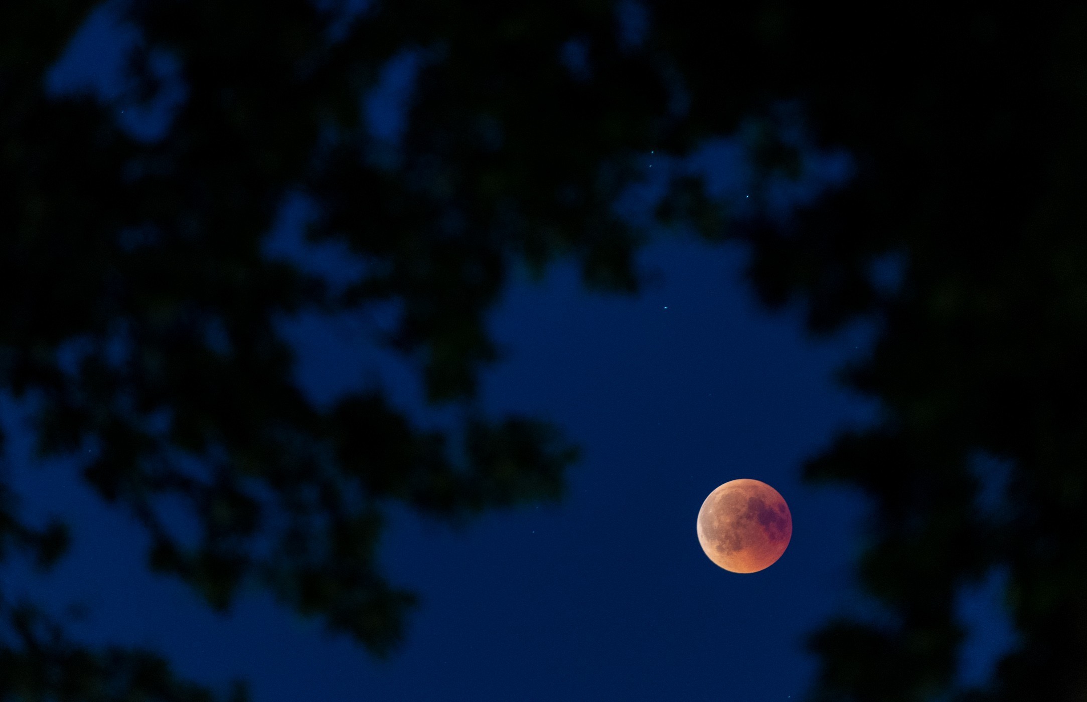 Foto van bloedmaan in Nederland tijdens blauwe uurtje