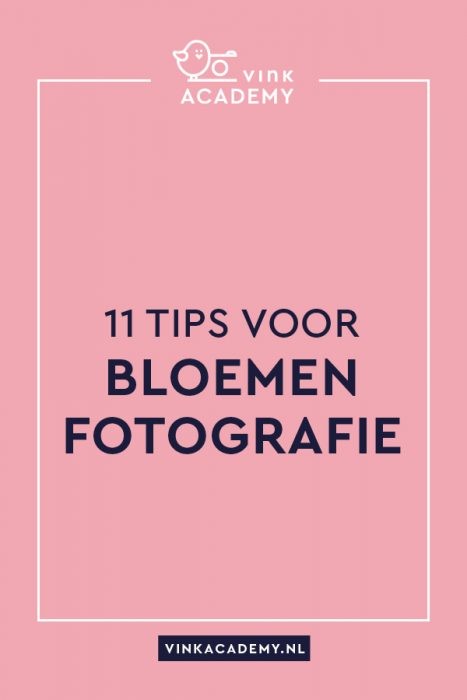 11 tips voor bloemen fotograferen