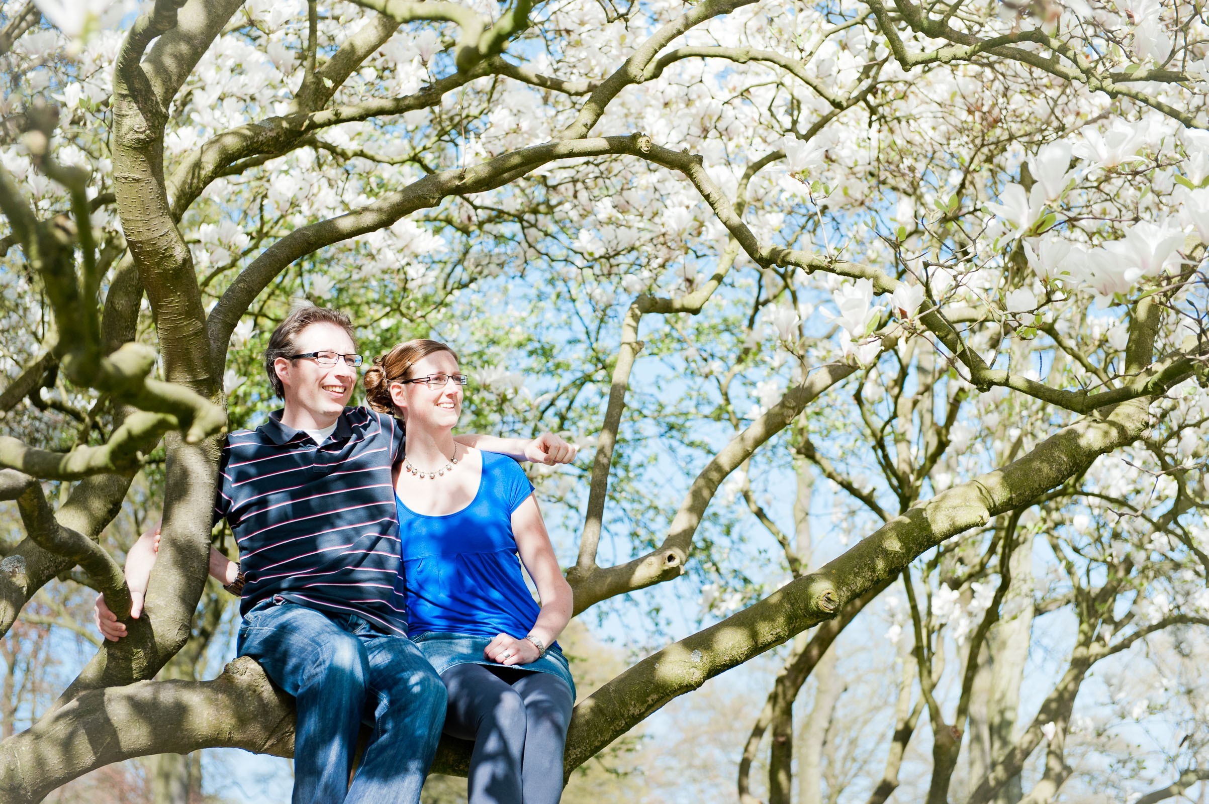 Samen in de bloesemboom