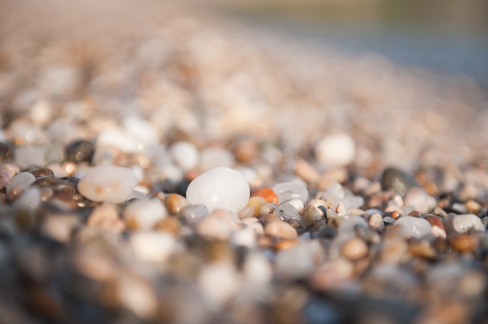 De lichtrichting is heel erg belangrijk voor het creëren van het bokeh-effect met duidelijke bollen. In deze foto zie je ook wel bokeh, maar door de andere richting van het licht is dit een stuk 'zachter'