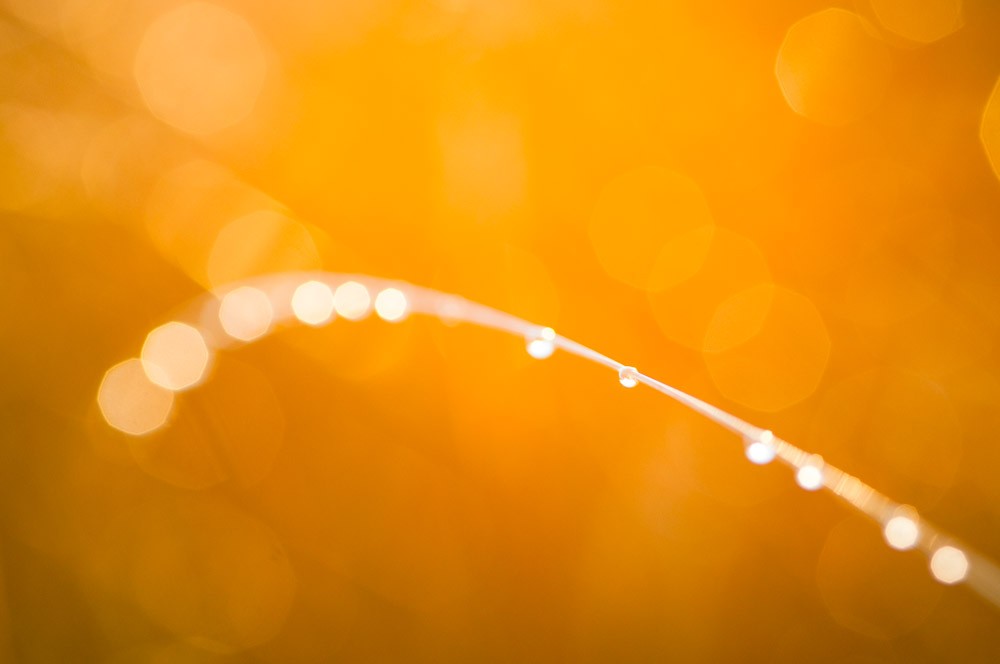 Hoe verder de druppels van het scherpstelpunt, des te groter de bokehbollen werden.