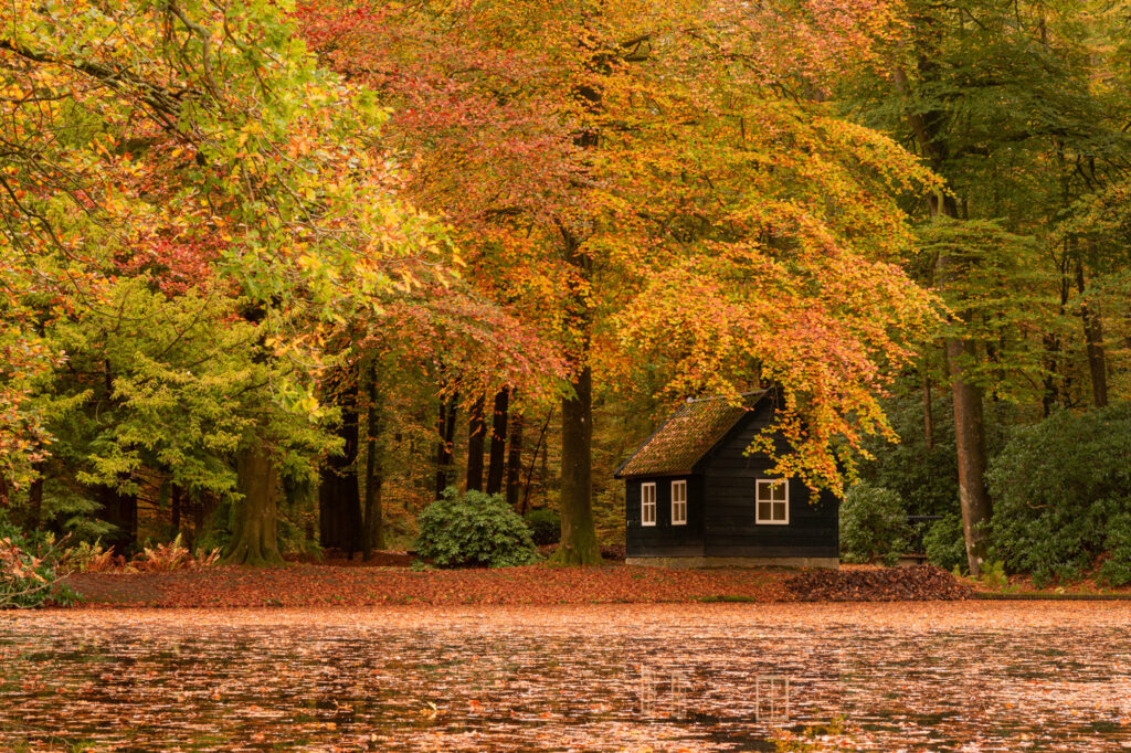 Elise van den Boogaart