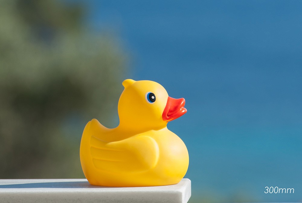 Gefotografeerd vanaf dezelfde plek; bij een brandpuntsafstand van 300mm is het badeendje nu groot in beeld