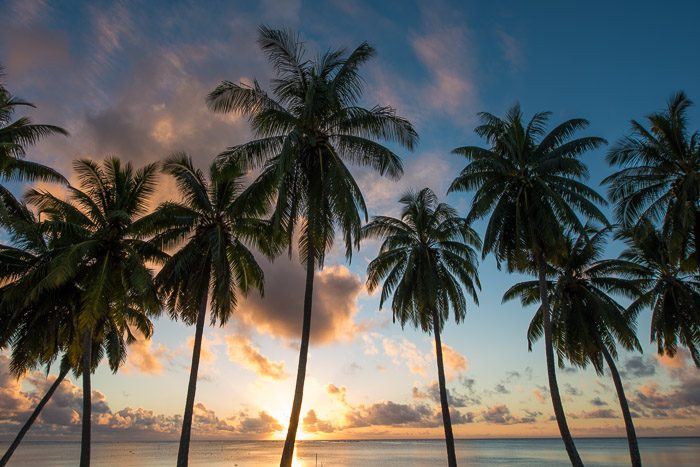 Cliche vakantiefoto's: palmbomen