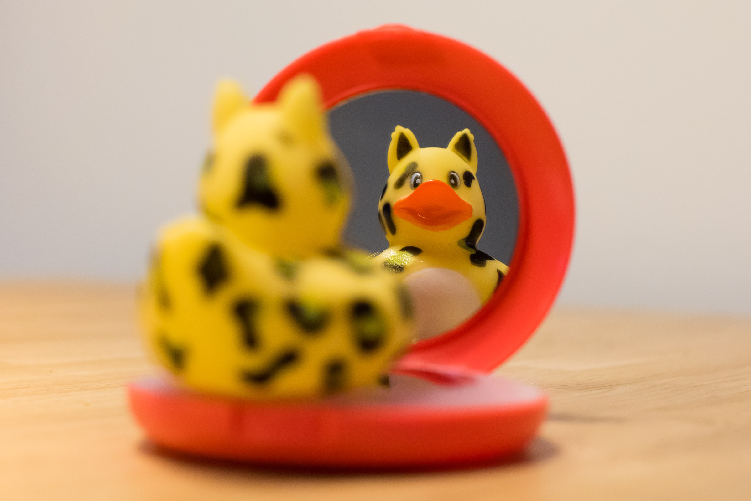 Copycats: de nachtmerrie van een fotograaf