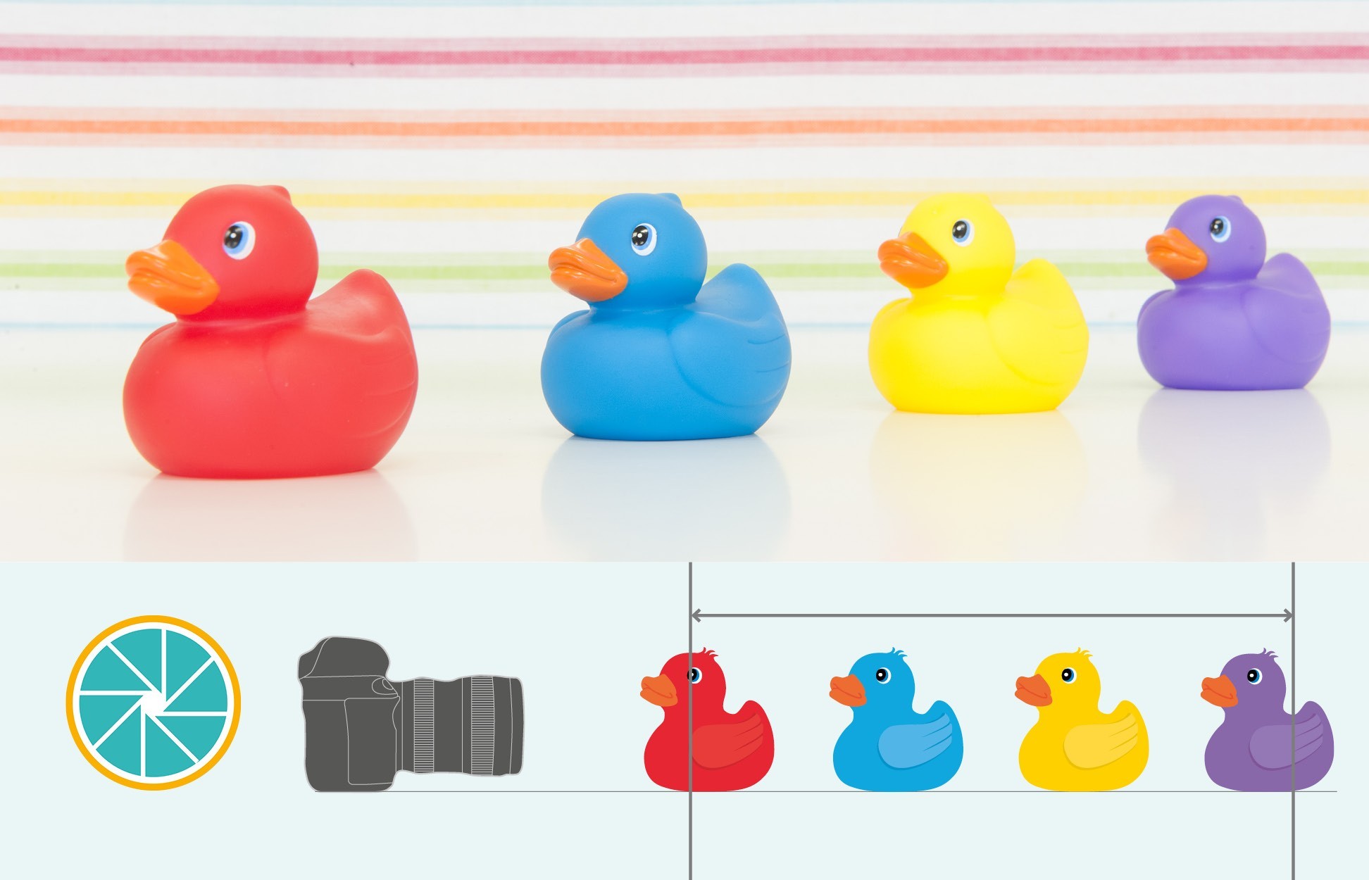 Klein diafragma, veel scherptediepte