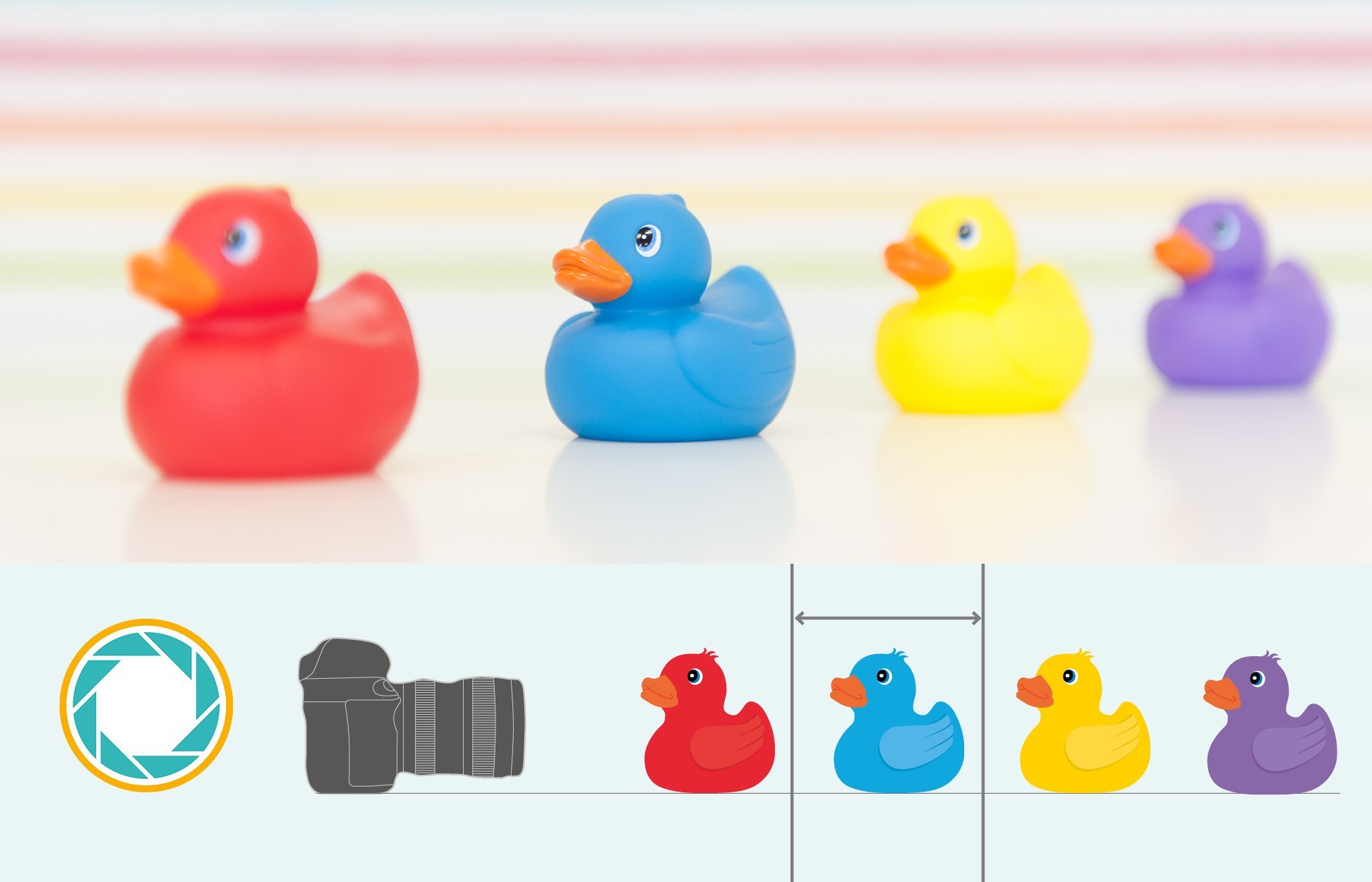 Groot diafragma, weinig scherptediepte