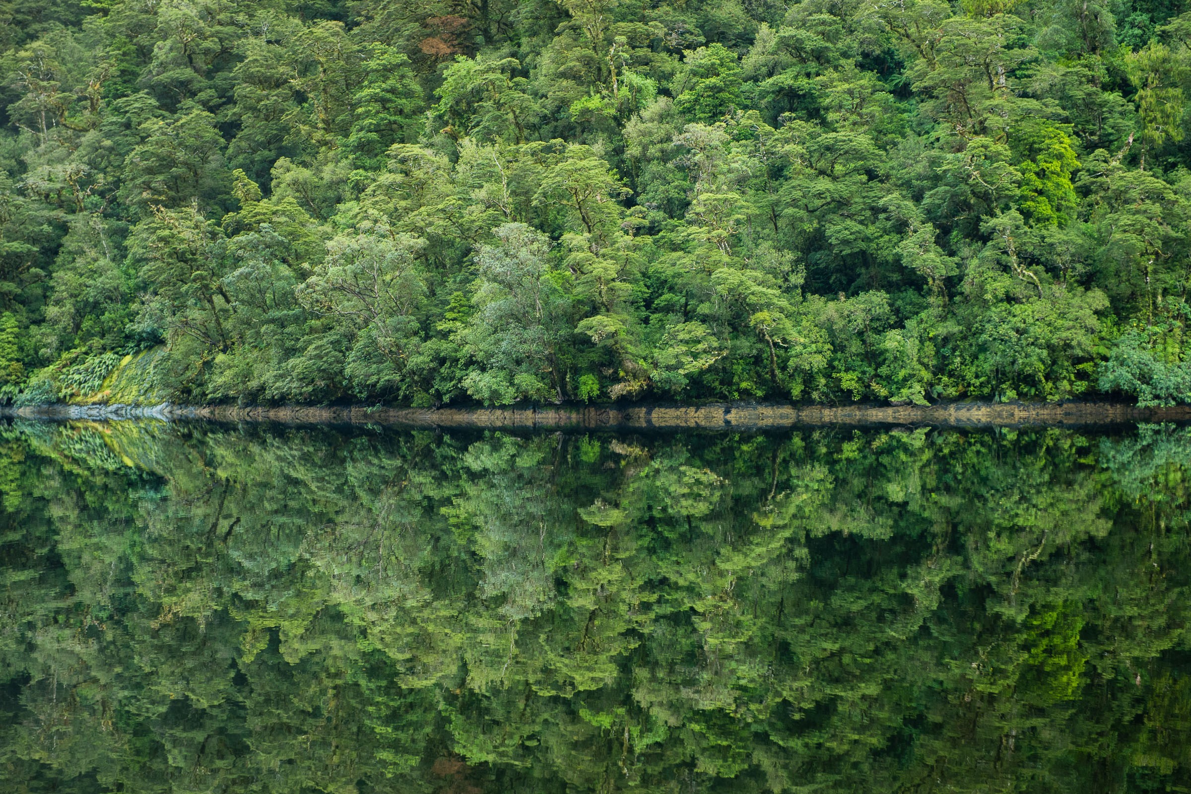 Het water in het fjord was 's ochtends spiegelglad. Zo mooi!
