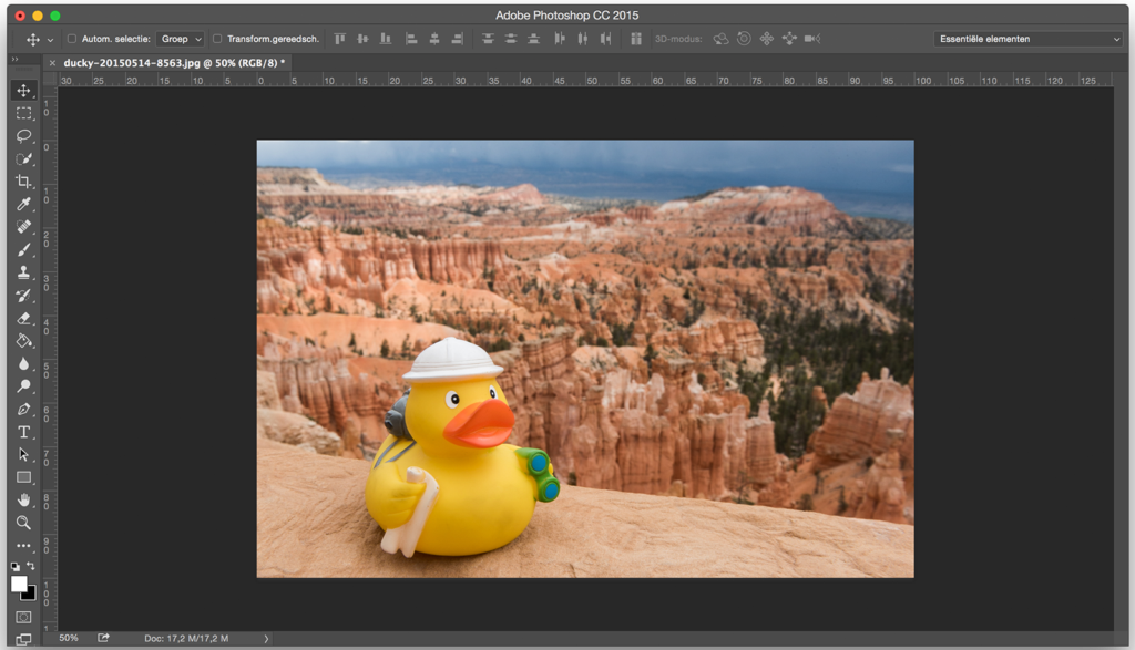Voorbeeldfoto in Photoshop
