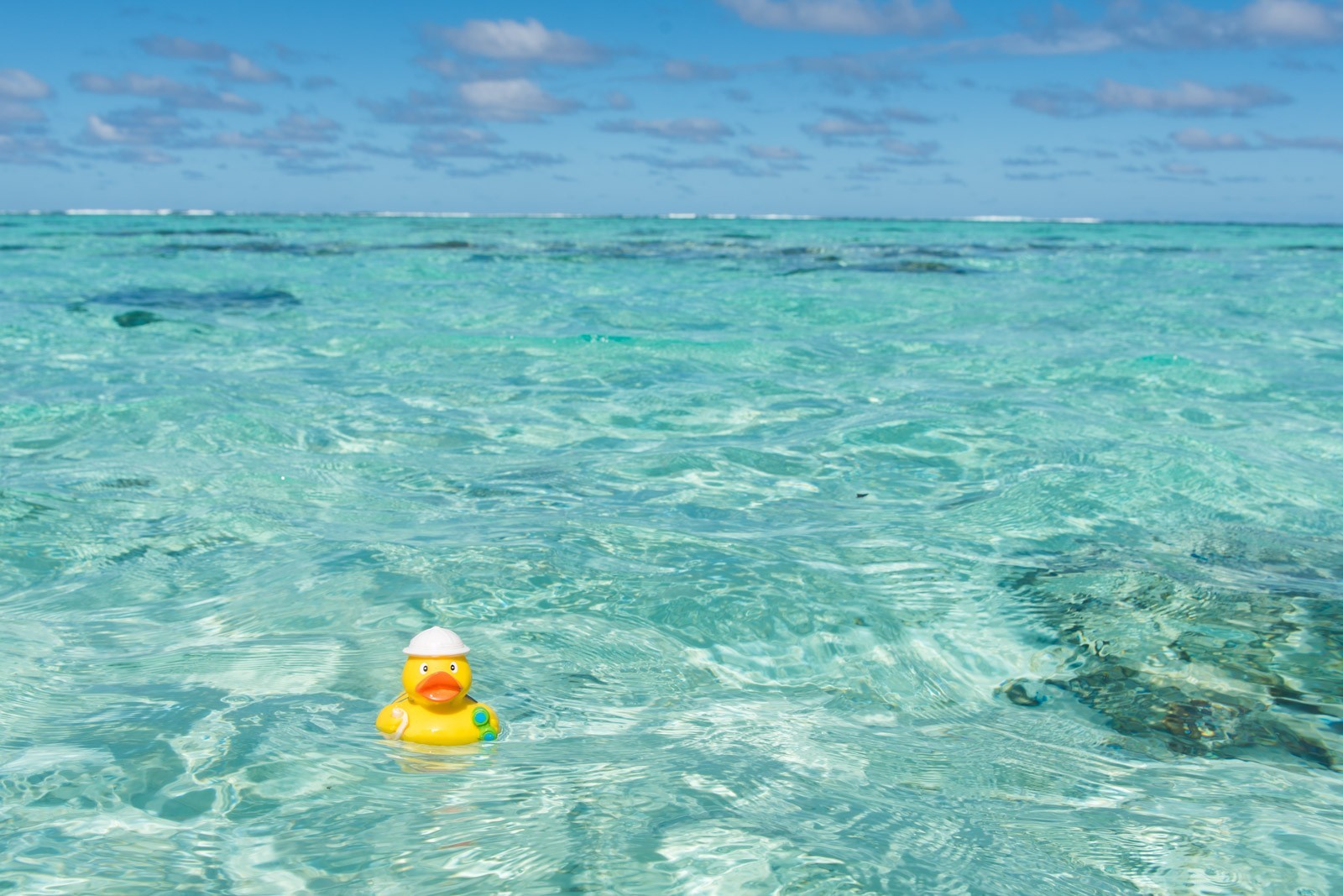 Ducky dobbert lekker in zee bij de Cookeilanden