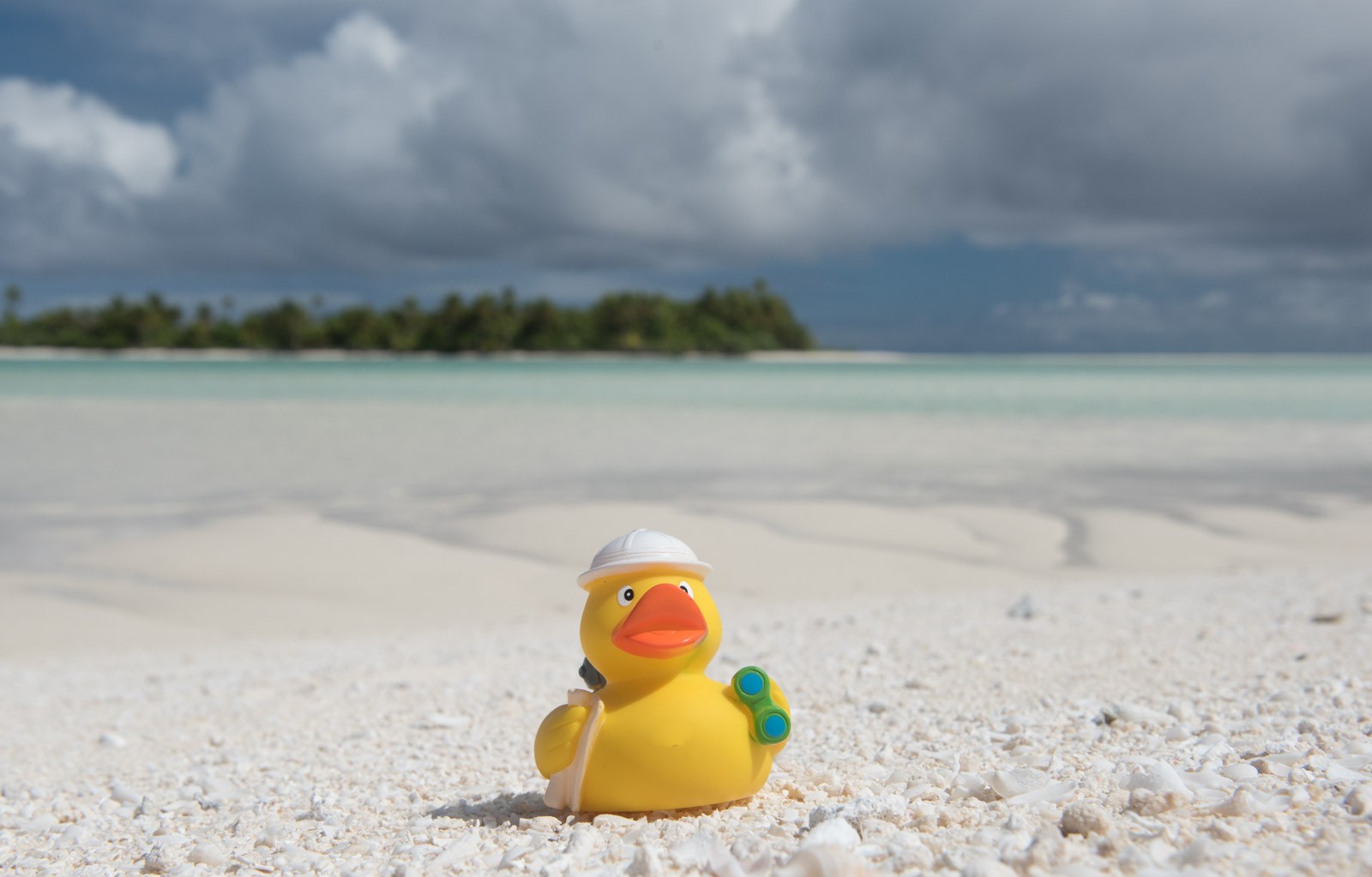 Ducky op een onbewoond eiland dat Honeymoon Island wordt genoemd.