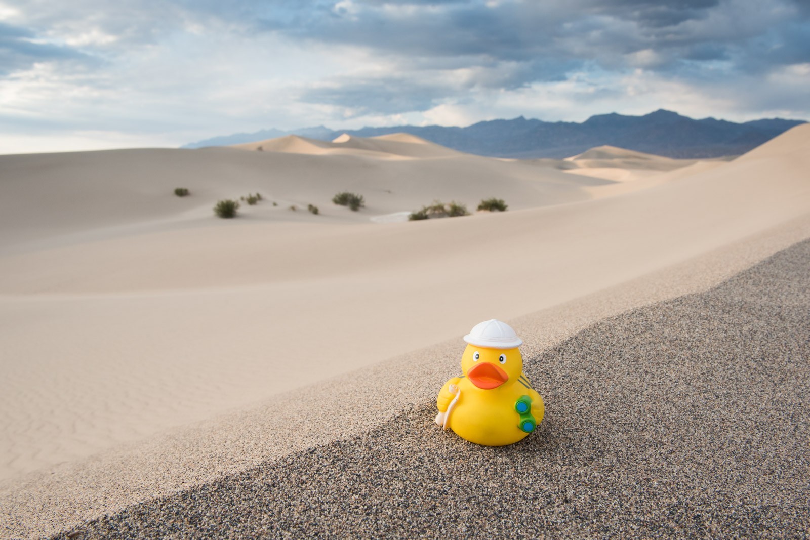 Ducky bij de zandduinen van Death Valley 