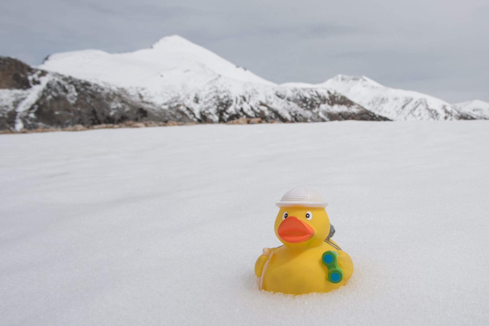 Ducky in de sneeuw bij Yosemite!