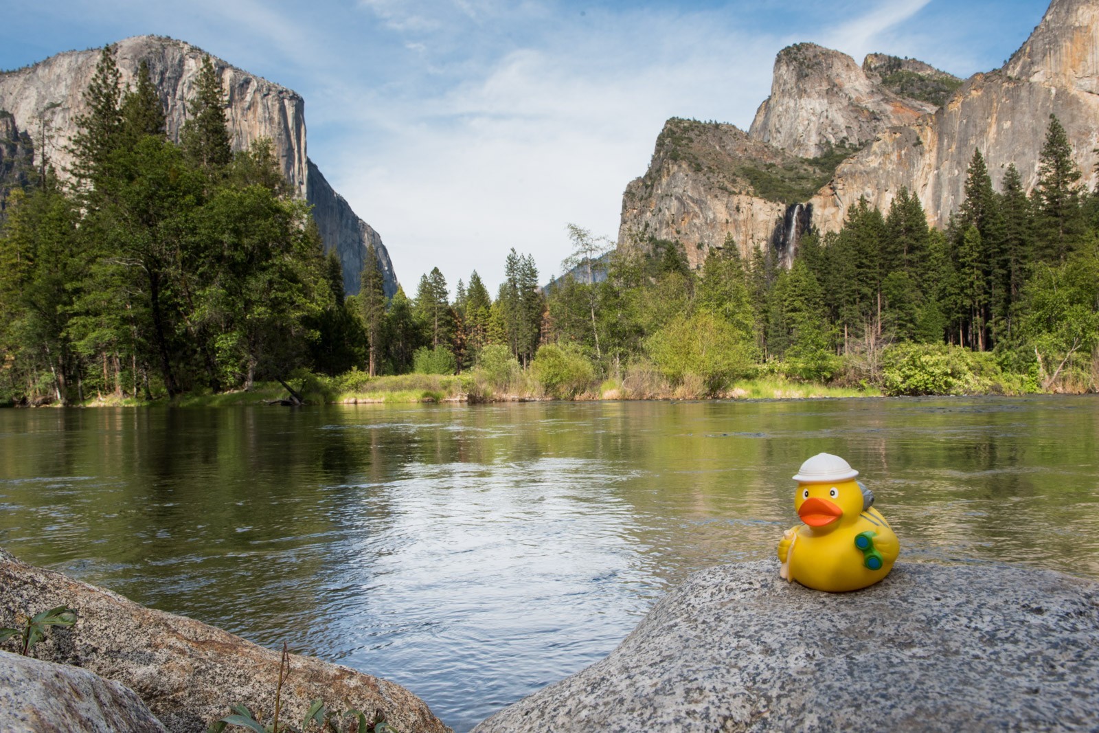 Ducky bij the vallei van Yosemite