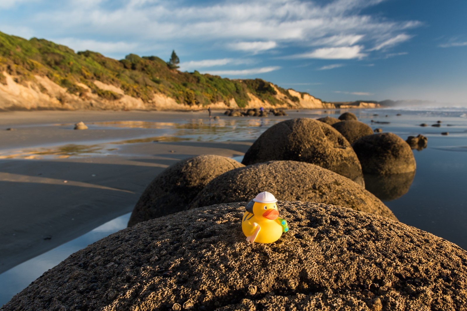 Ducky bij de Moeraki Boulders in Nieuw-Zeeland