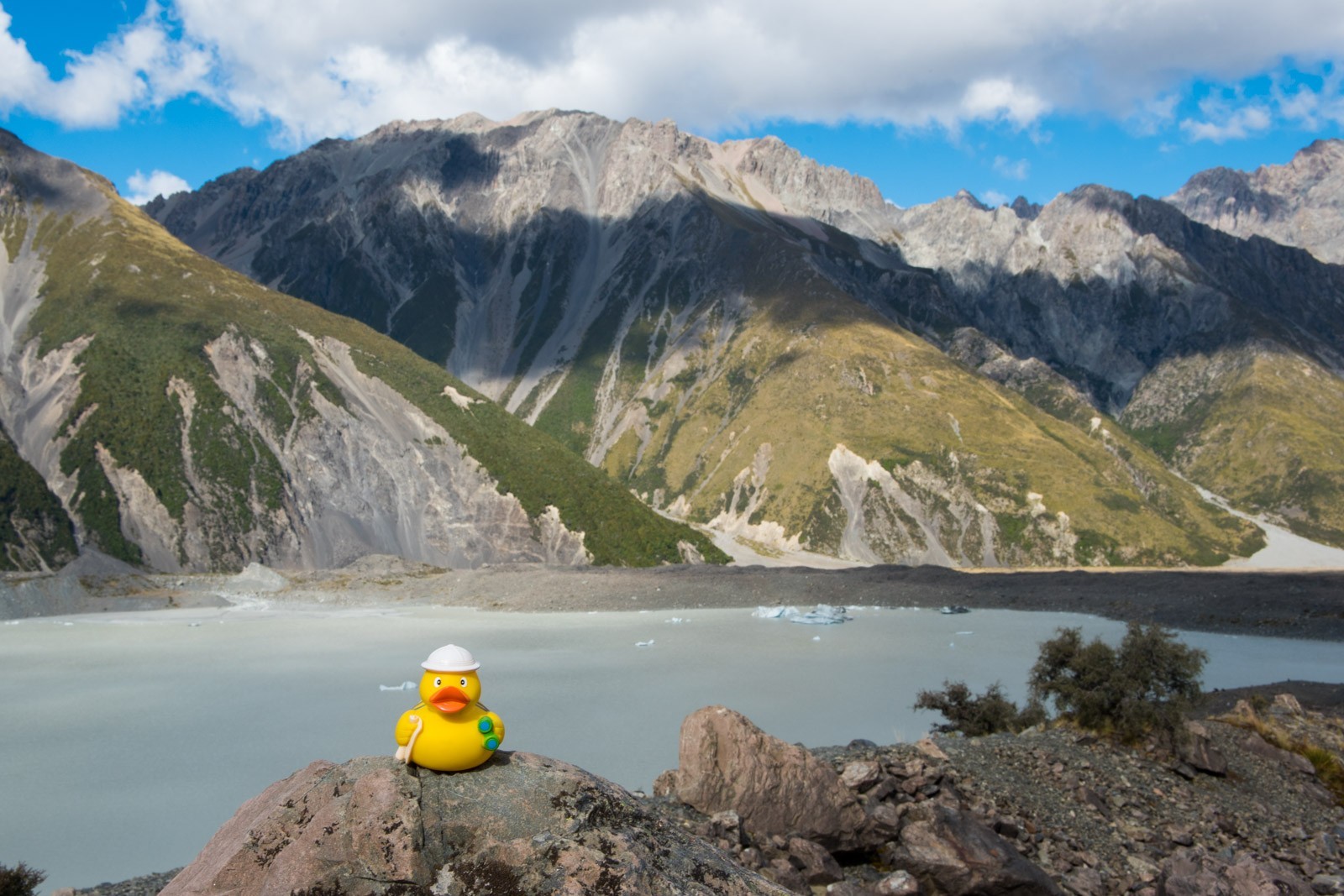 Ducky bij het meer van de Tasman gletsjer. Op de achtergrond zie je ijsbergen!