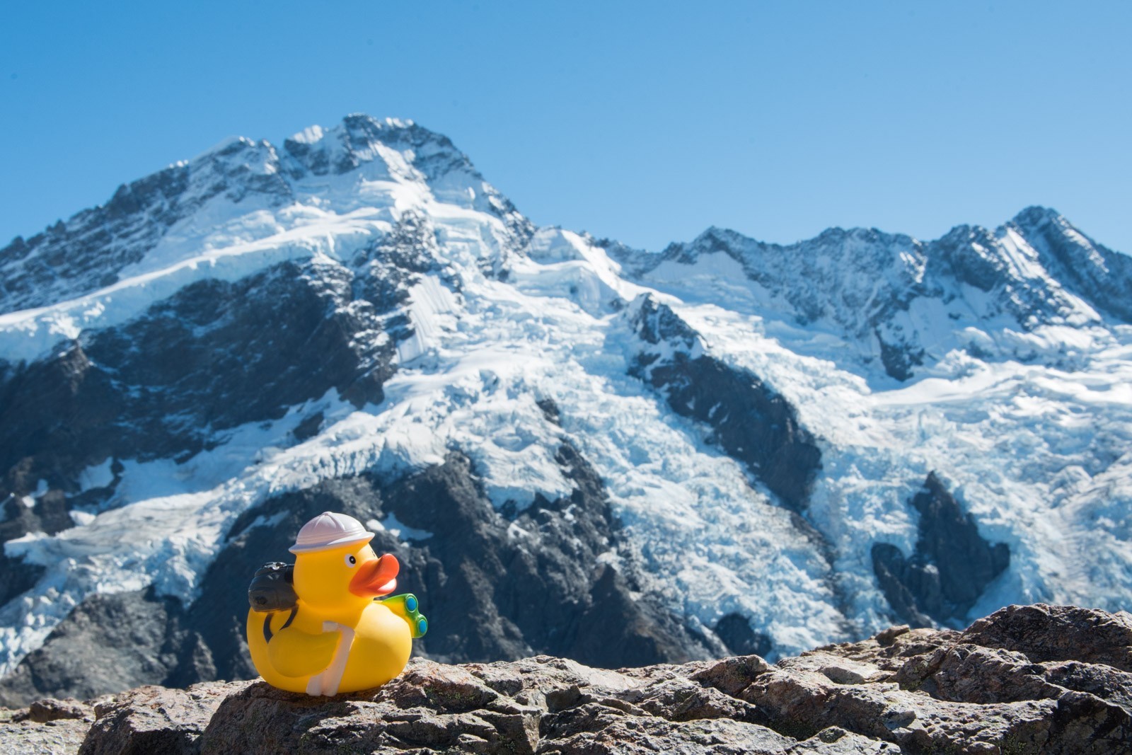 Ducky op de top van de berg met het uitzicht over de Mueller gletjser