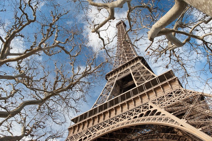 Eiffeltoren met een kader van takken