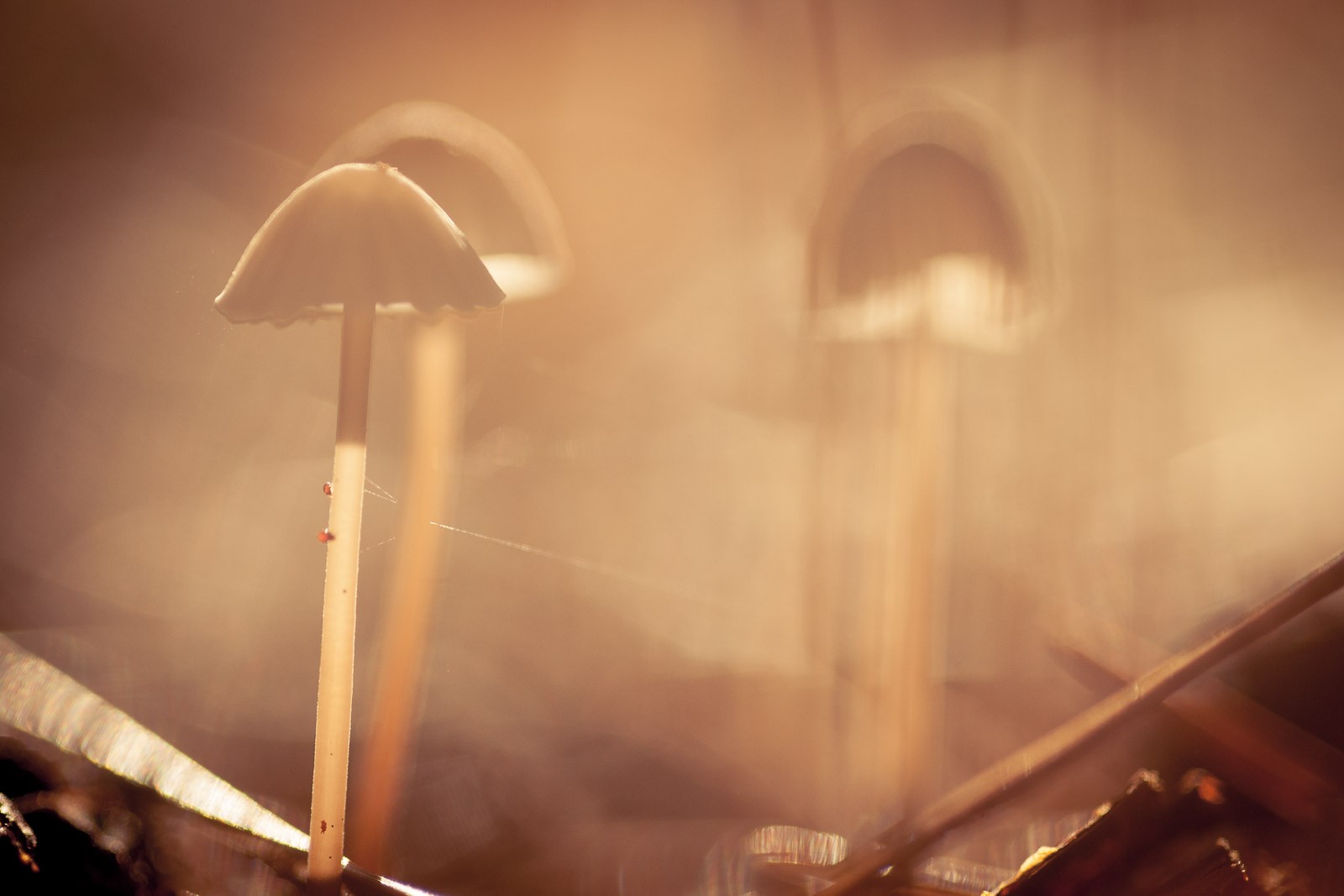 Wees niet bang om met het licht te experimenteren