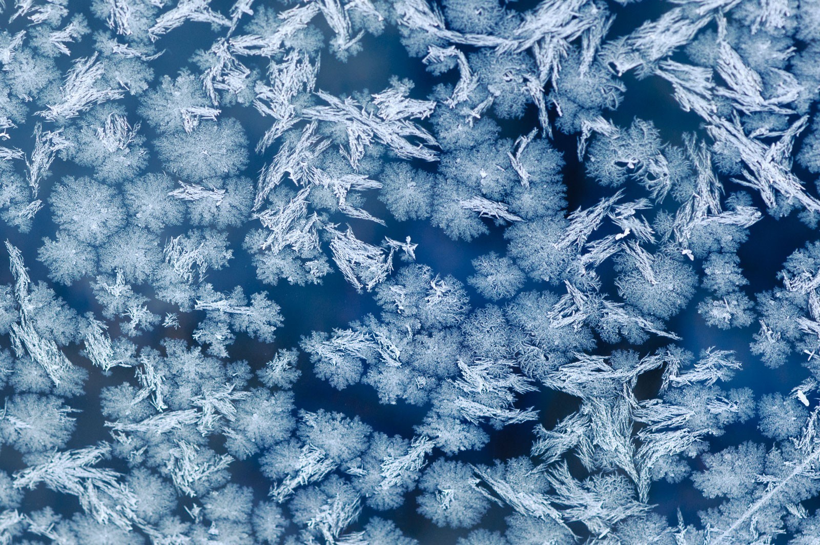 Ijskristallen op het raam