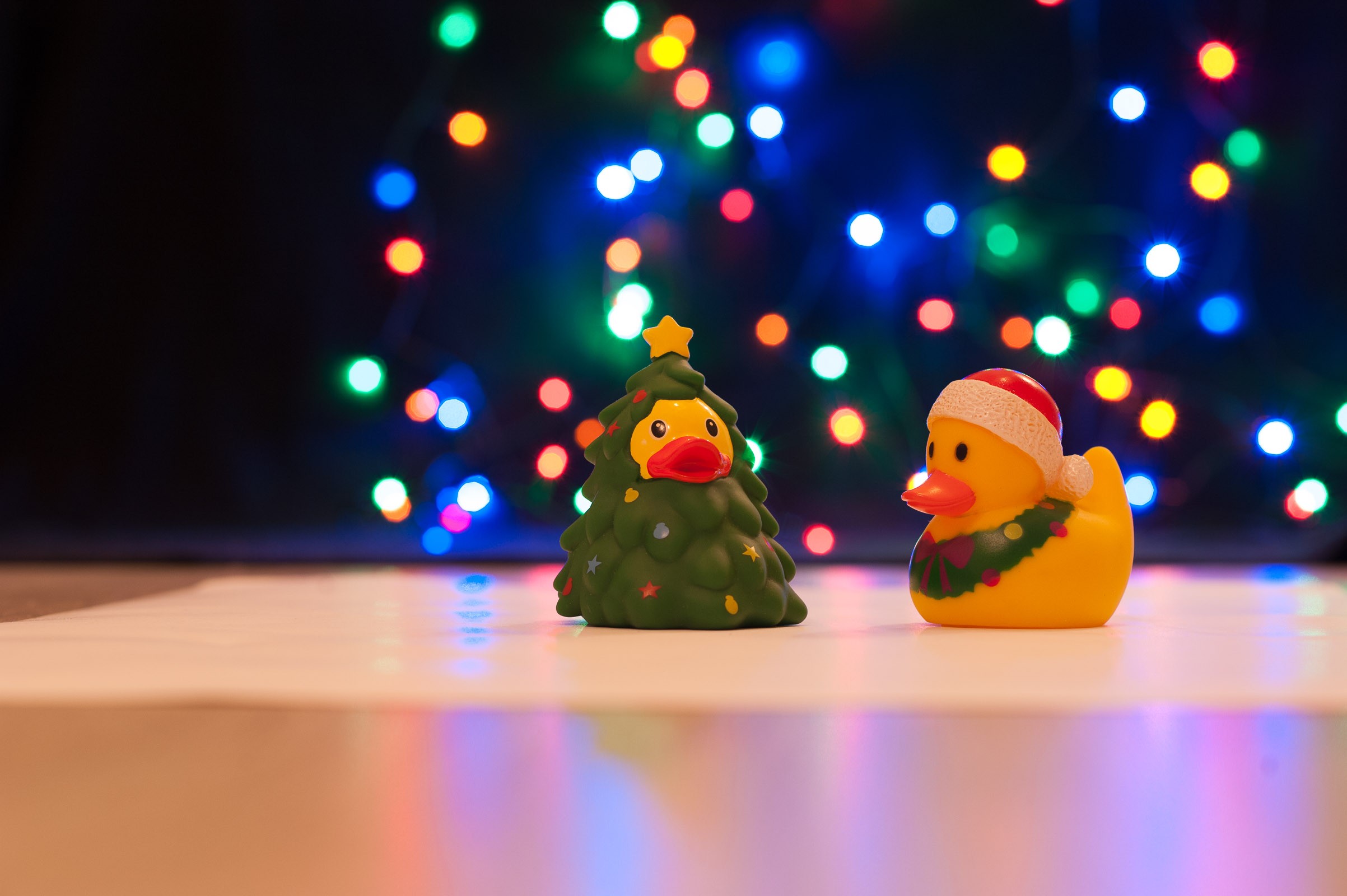 Eerste testfoto kerstkaart