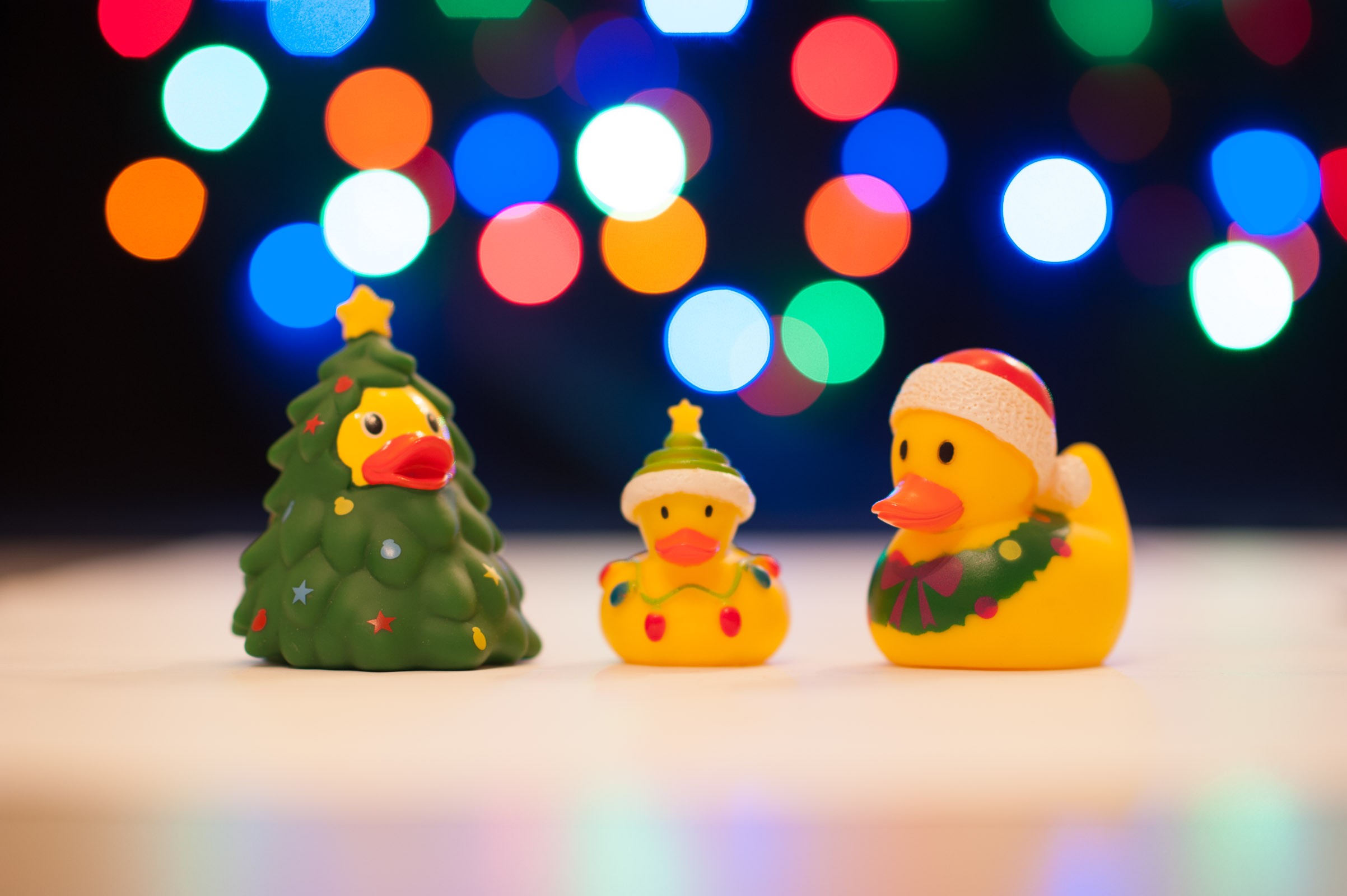 De lampjes hangen goed, niets meer aan doen. Hoe zou het zijn als ik een extra lichtje op de badeendjes schijn?